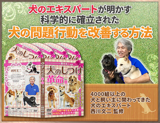 いぬpackage.jpg